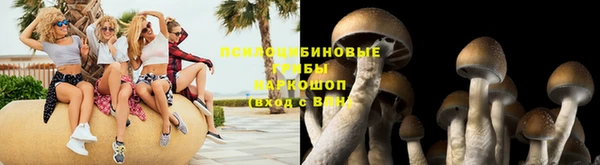 гидра Абинск